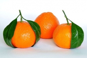 橘子-橘子的營養&amp;橘皮功效:消除疲勞食物橘子含檸檬酸,保健營養也開胃!