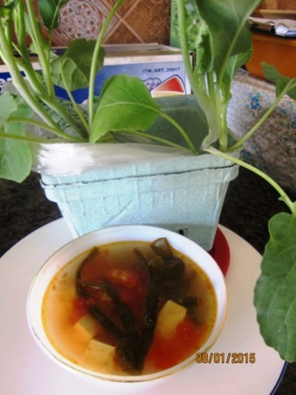 坐月子餐番茄味噌湯食譜-做月子餐番茄味噌湯料理含檸檬酸和蘋果酸健康減肥!
