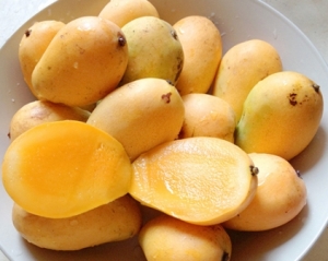 芒果食療養生食譜-六大芒果養生食療方法及芒果食療功效:芒果治療咳嗽痰多!