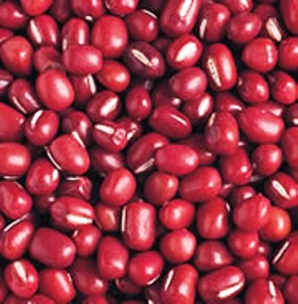 紅豆-紅豆營養價值&amp;紅豆功效:紅豆富含鉀,紅豆促進新陳代謝增強體力!