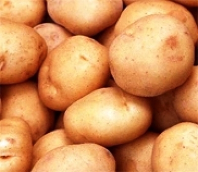 馬鈴薯減肥食譜-二道馬鈴薯健康減肥法:馬鈴薯減肥法將會吸走身體油脂瘦身苗條哦!