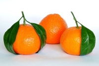 橘子-橘子的營養&橘皮功效:消除疲勞食物橘子含檸檬酸,保健營養也開胃!