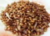素食焗烤黃豆料理食譜-養生素食筍豆做法料理:筍豆是打牙祭的健康小零嘴喔!