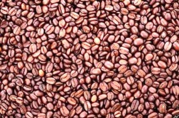 生咖啡豆放多久過期不好喝?潮濕的天氣咖啡豆怎麼保存-生咖啡豆二項品質保存方法您不可不知!