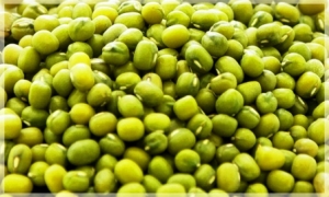 綠豆料理食譜-三道綠豆料理及綠豆食療功效:綠豆清熱解百毒排毒功效!
