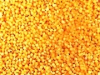 小米又稱粟米-小米營養價值&小米功效:小米含大量酶有健胃消食養脾胃補元氣的功效!