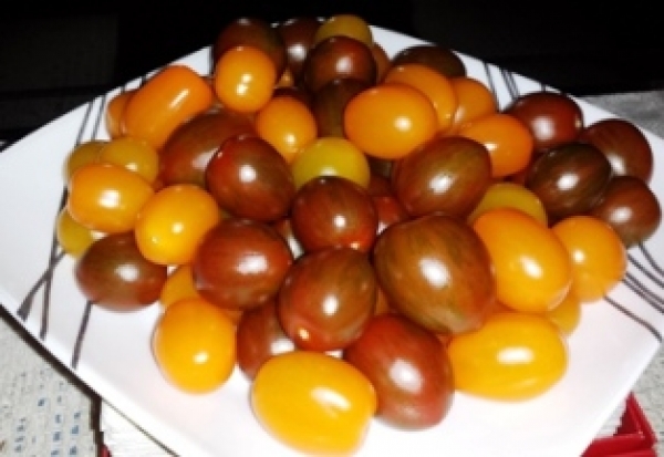 番茄/西紅柿料理食譜-五項番茄/西紅柿的食療方法&amp;番茄食療功效分享!