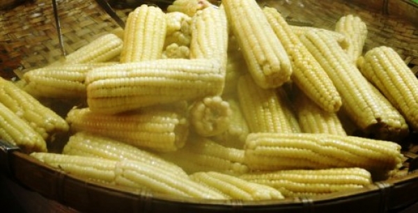 玉米功效/玉米的營養成分/玉米熱量:吃玉米的四大好處&amp;玉米健康吃法!
