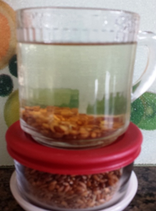 糙米茶功效-三樣糙米茶養生功效與作用:養生糙米茶富含植物纖維排毒排宿便!