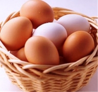 吃雞蛋的錯誤觀念&amp;如何正確食用雞蛋的四樣方法:雞蛋營養&amp;功效的認知!