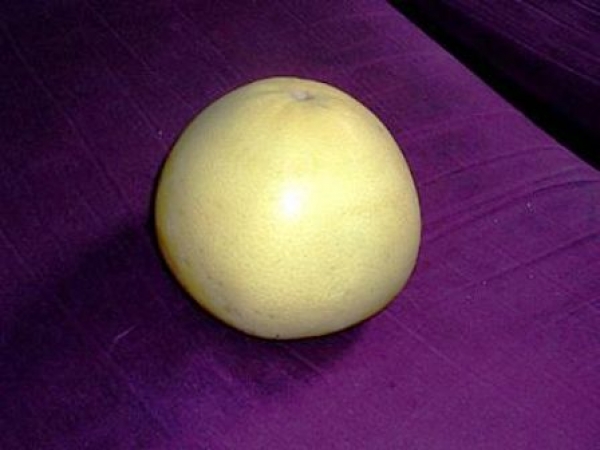 坐月子餐食譜-哺乳期做月子餐可吃柚子嗎?月子餐吃柚子對寶寶影響沒?