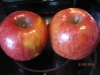 蘋果-蘋果的七種功效:蘋果酚可預防蛀牙的神奇保健功效!