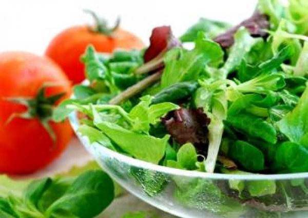 素食坐月子餐食譜-做月子餐蔬果沙拉料理:蔬果沙拉月子餐產婦吃出健康,輕鬆享瘦!