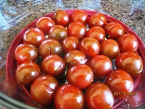 養生番茄料理食譜-健康梅汁漬番茄做法料理:梅漬番茄料理健康養生!