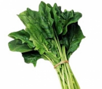 菠菜-菠菜營養價值,菠菜十大養生功效:菠菜含有鎂可緩解疲勞!