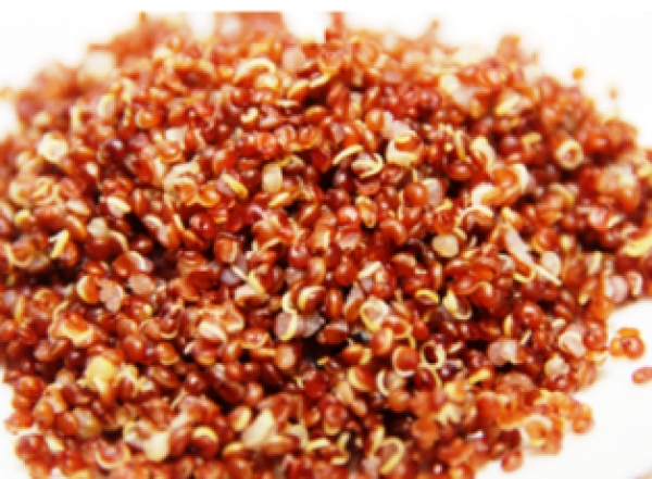 紅藜麥-紅藜麥六大營養價值及紅藜麥功效:紅藜麥是超級鹼性食物紅藜麥是素食者絕佳蛋白質來源!