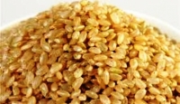 糙米的營養價值&糙米的五大好處:糙米含維生素E能減少神經疾病氧化損傷的功效!