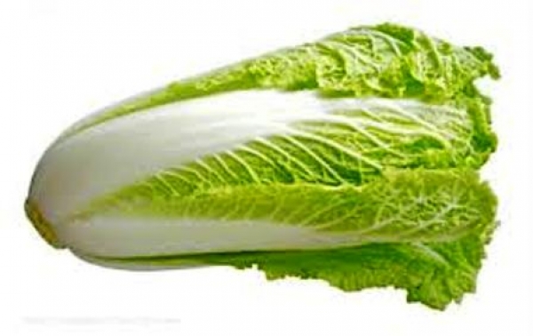 大白菜素食料理食譜-22道純素大白菜做法料理:大白菜含維生素CE多吃白菜美容養顏!