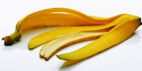 香蕉&天然肥料營養液-四種香蕉皮的養花妙招:香蕉皮是天然肥料營養液!